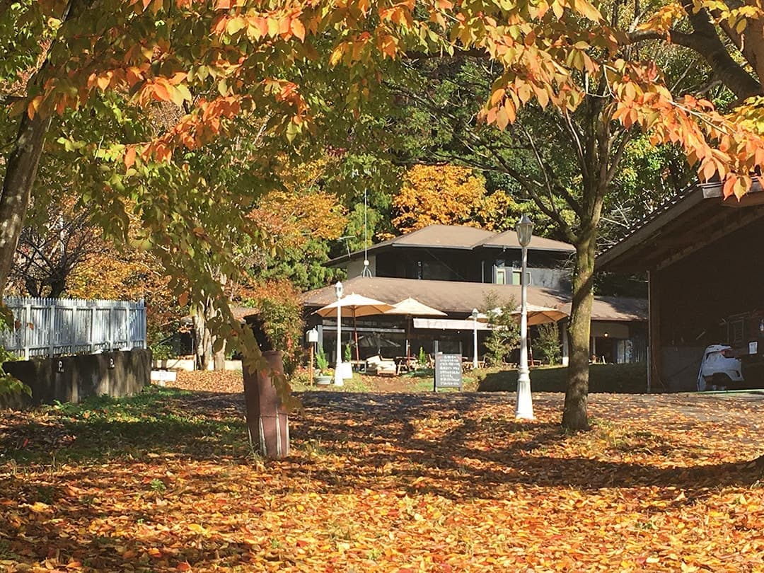 茨城　大子　咲くカフェ