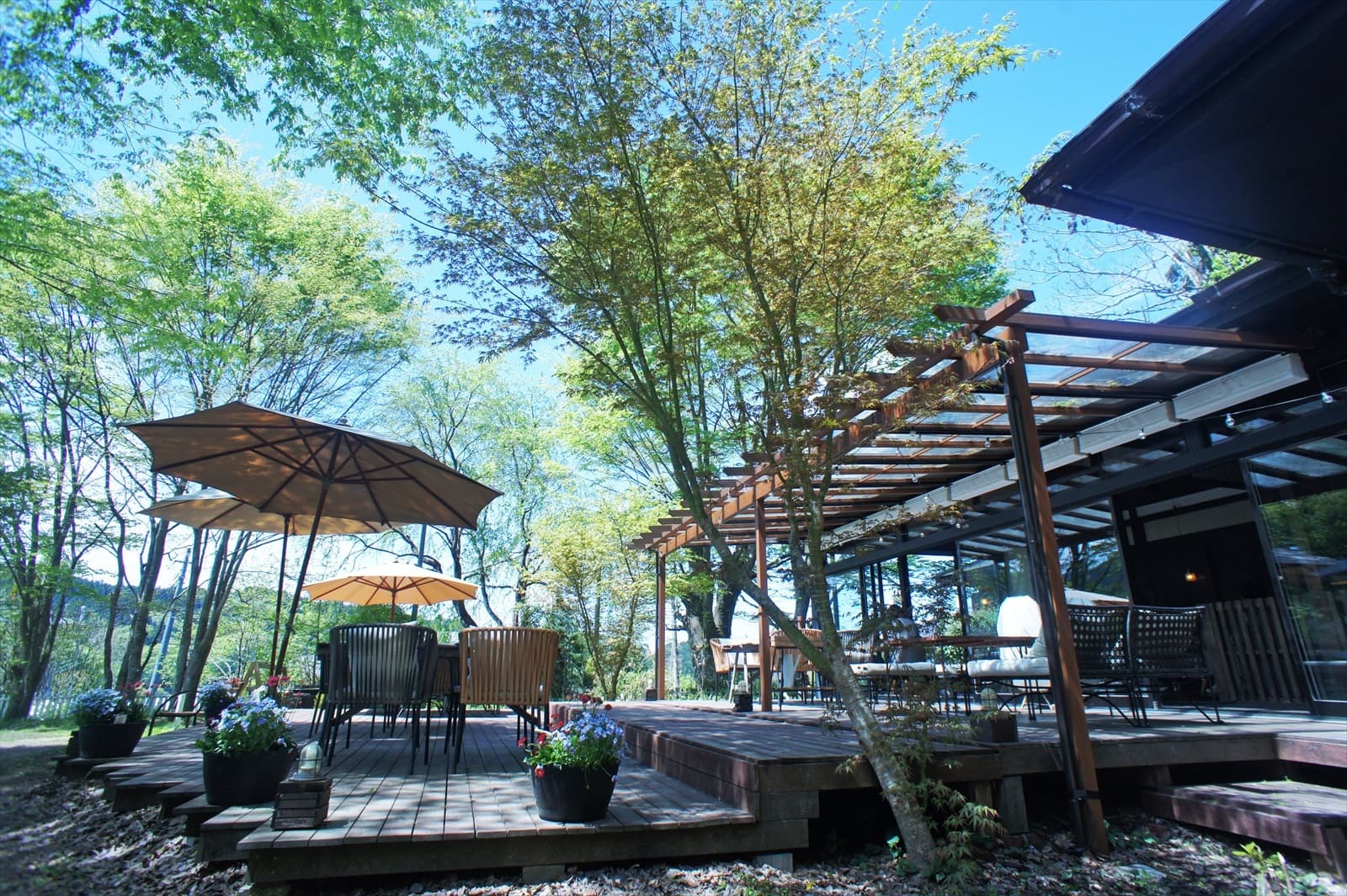 茨城・大子　咲くカフェのテラス