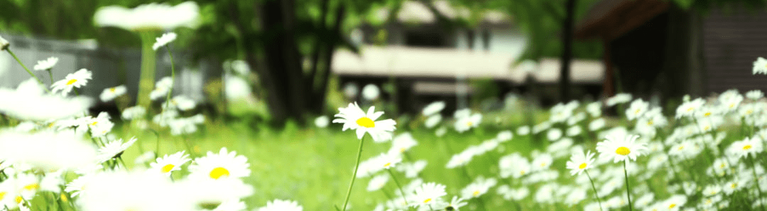 茨城・大子町のリノベーションカフェ&ゲストjハウス 咲くカフェ。ガーデン。