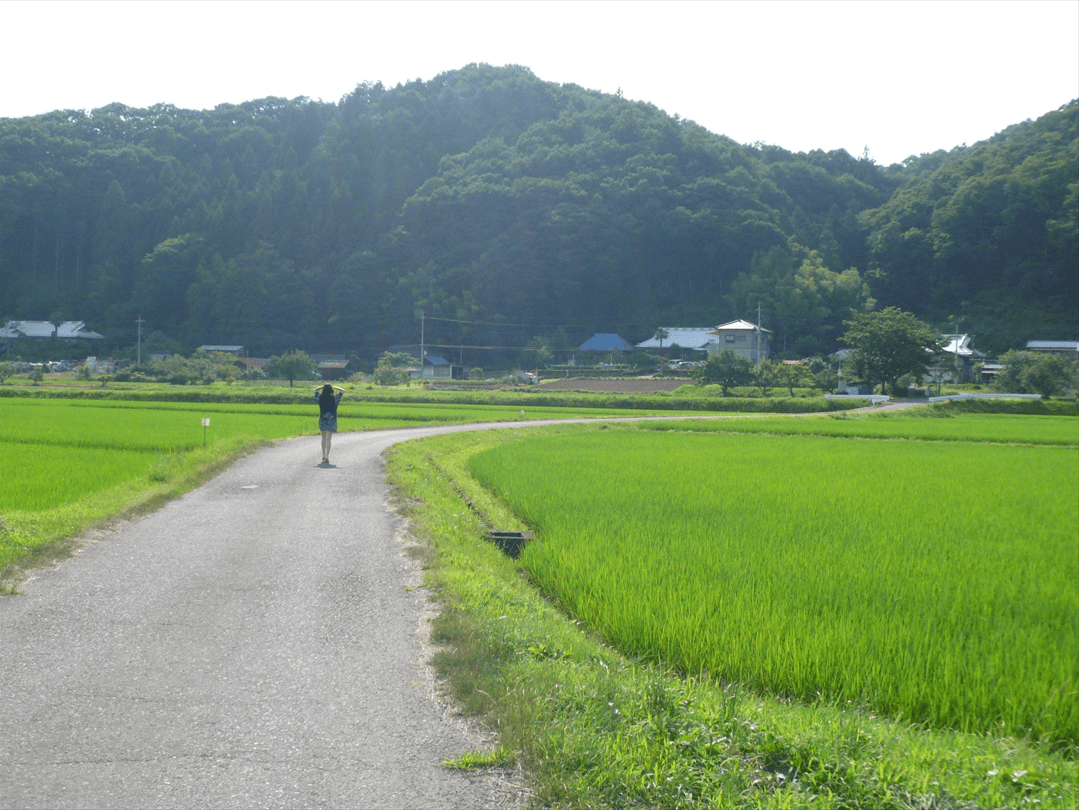 茨城・大子町。田舎風景。水路。路地。木の橋。野菜ソムリエ LEMSの地方移住・田舎暮らしのお話。
