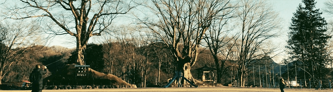 茨城・大子町。田舎風景。水路。路地。木の橋。野菜ソムリエ LEMSの地方移住・田舎暮らしのお話。