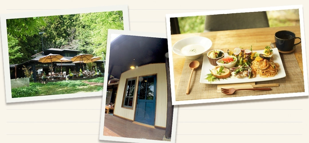 茨城・県北の奥久慈大子のカフェ&ゲストハウス。ランチやディナーの咲くカフェ。