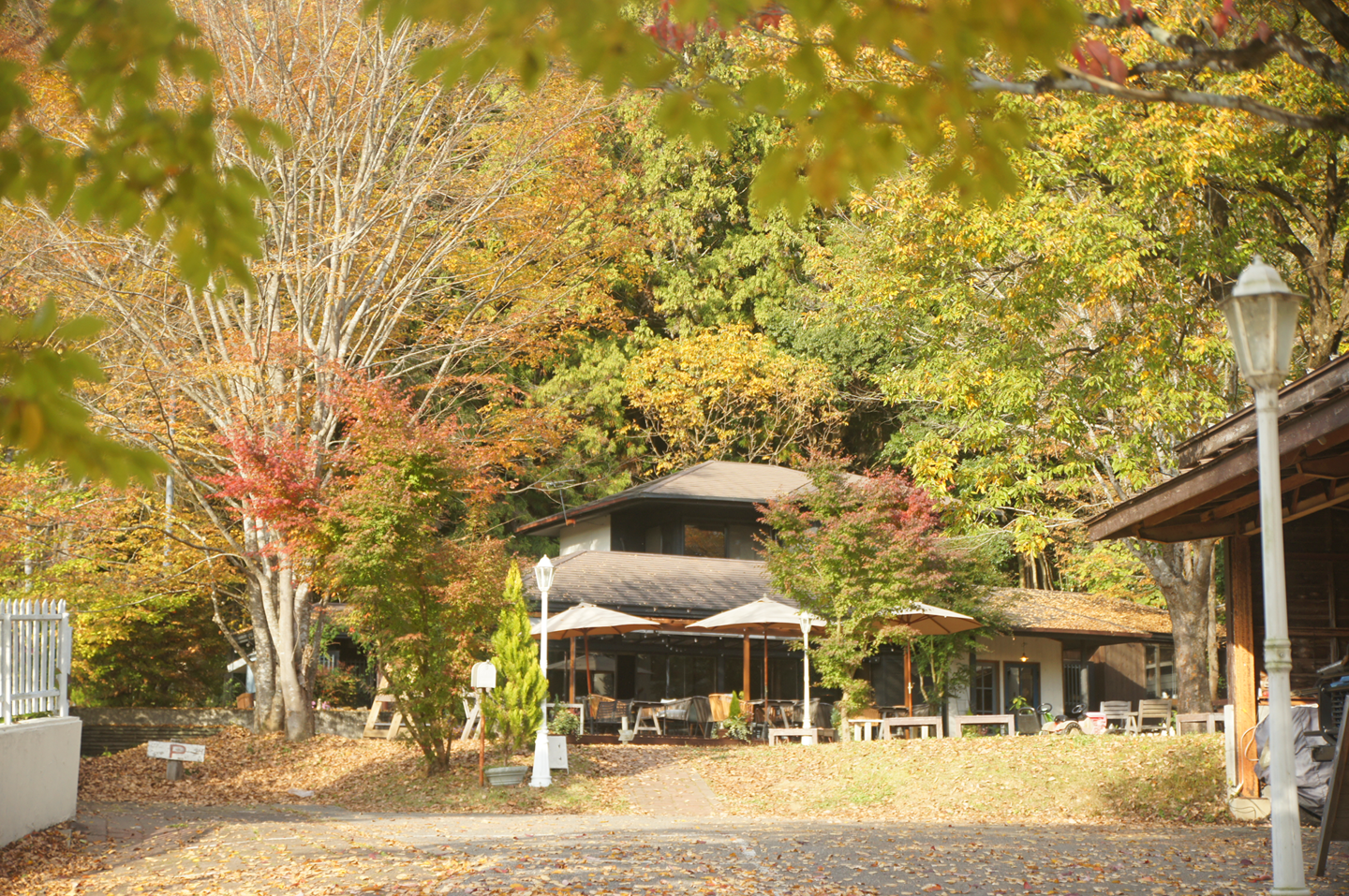 茨城・大子町　カフェ＆ゲストハウス　咲くカフェ